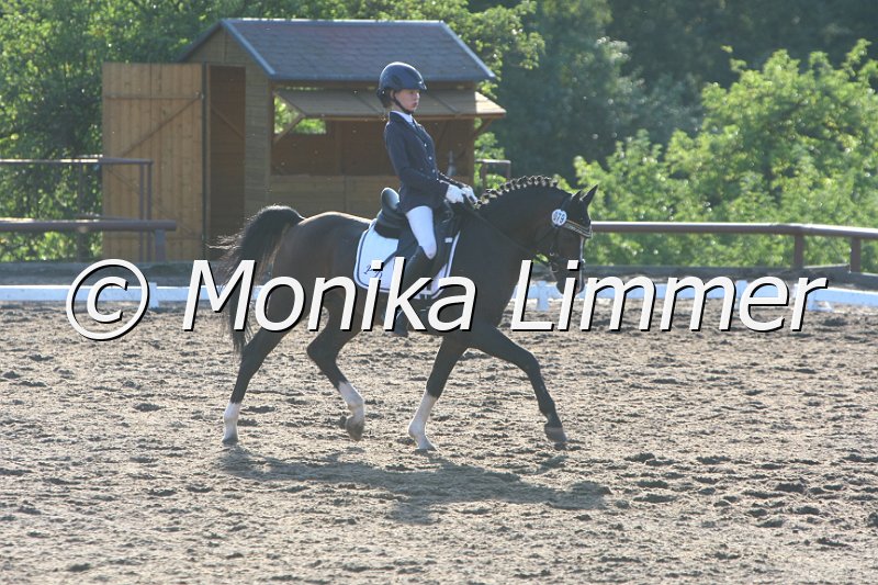 109M4986_Holsteins William_Dressurreiter A.JPG